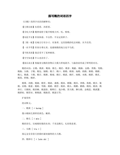 描写鹅的词语四字