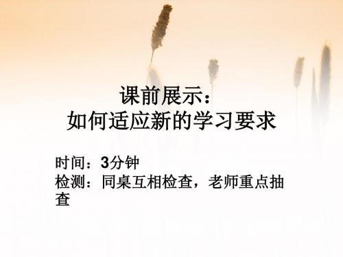 初一道德与法治项目二层一知识让人生更亮丽