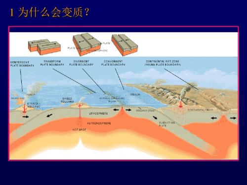 浙江变质岩汇总