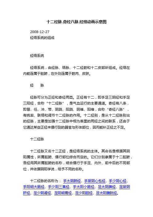 十二经脉.奇经八脉.经络动画示意图