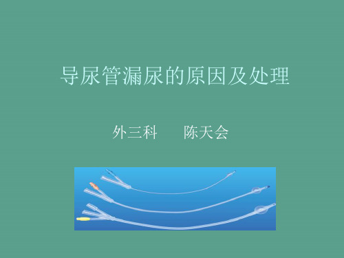 关于导尿管漏尿ppt课件