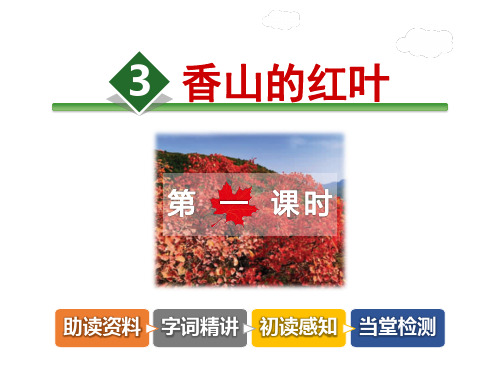 香山的红叶PPT