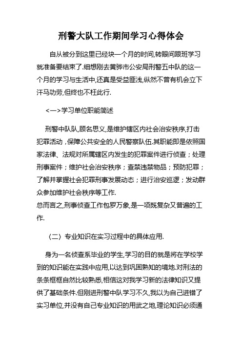 刑警大队工作期间学习心得体会
