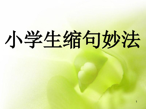 完整的小学缩句指导及练习(课堂PPT)