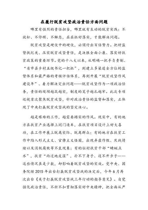 在履行脱贫攻坚政治责任方面问题