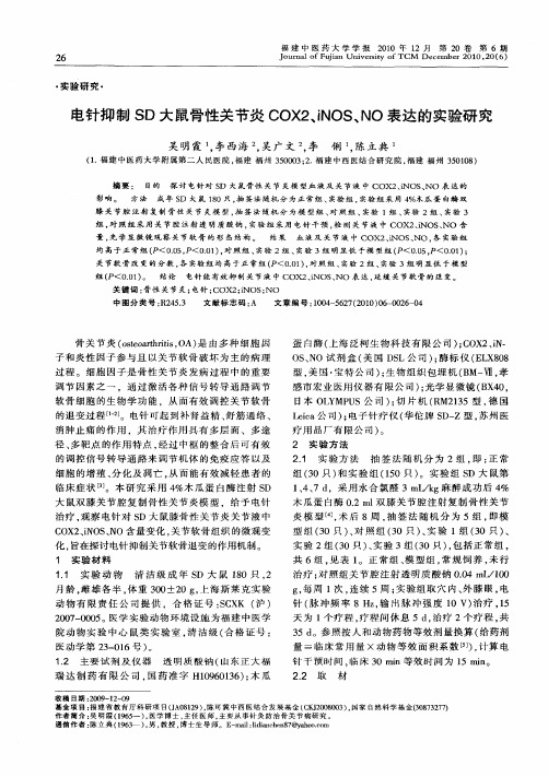 电针抑制SD大鼠骨性关节炎COX2、iNOS、NO表达的实验研究