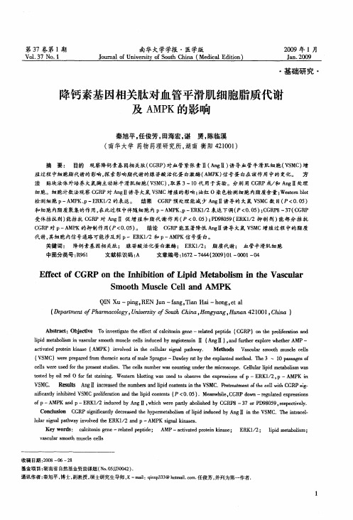 降钙素基因相关肽对血管平滑肌细胞脂质代谢及AMPK的影响