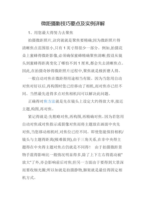微距摄影技巧要点及实例详解