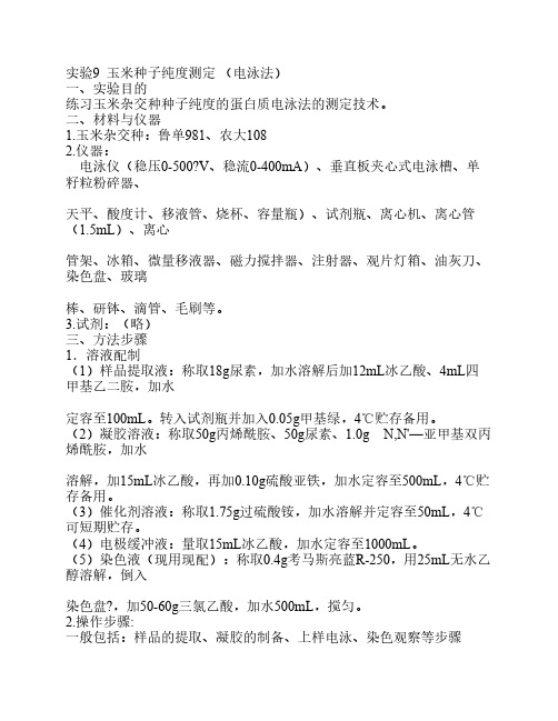 实验9 玉米种子纯度测定