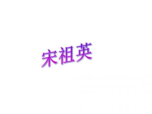 民族区域自治制度：适合国情的基本政治制度课件