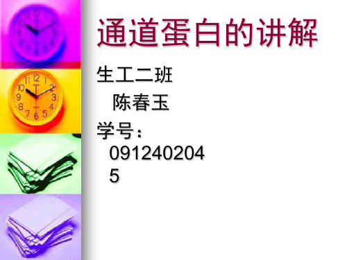 通道蛋白的讲解