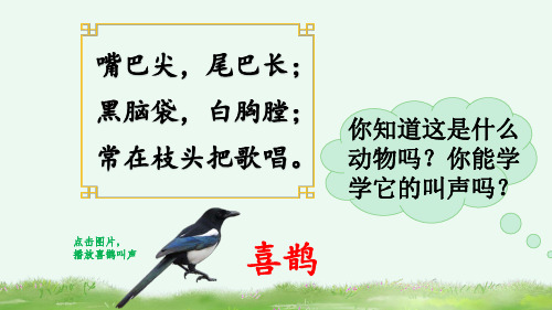 9 枫树上的喜鹊(部编版语文二年级下册第四单元精品课件PPT)