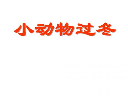 小动物过冬-PPT精品教学课件4