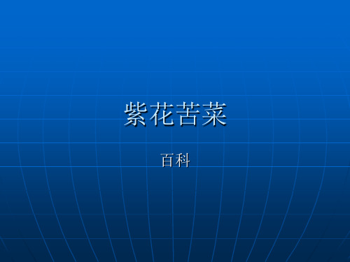 紫花苦菜百科