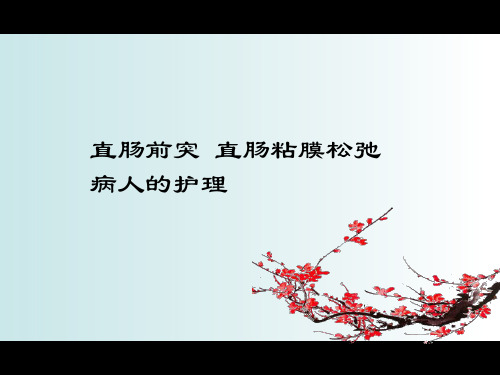 护理查房直肠前突