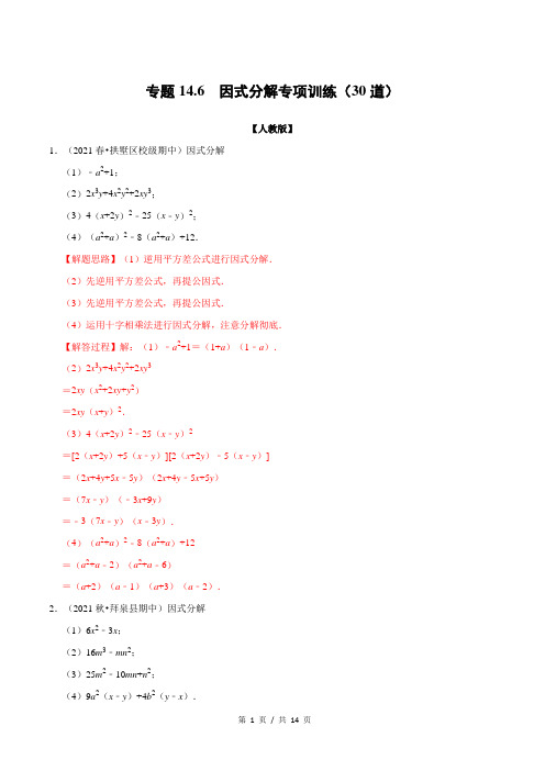 专题14.6 因式分解专项训练(30道)