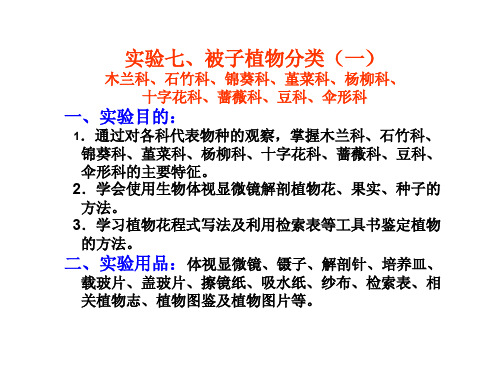 实验七  被子植物分类(一)