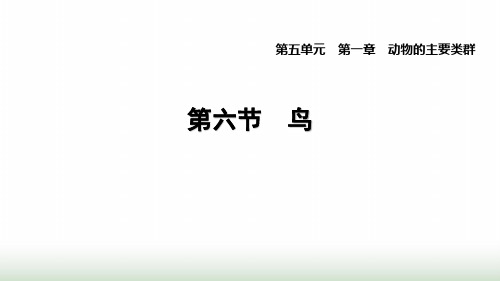 人教版八年级生物上册第五单元第一章1.6鸟课件