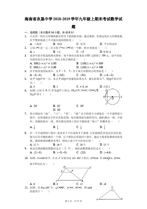 海南省农垦中学2018-2019学年九年级上期末考试数学试题(解析版)