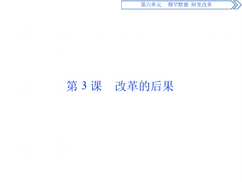历史人教版选修1第六单元第3课改革的后果课堂