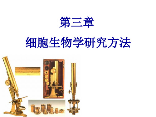 第三章、细胞生物学研究方法(下).pptx