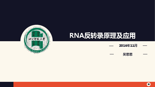 反转录的原理及应用