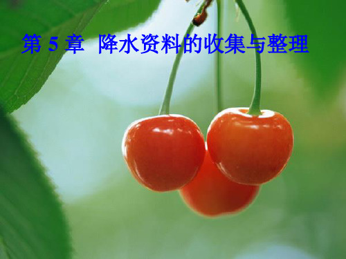 水文学第 5 章  降水资料的收集与整理