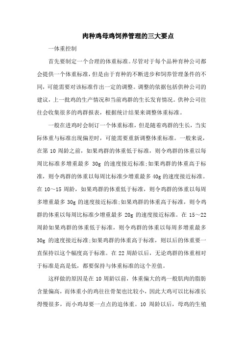 肉种鸡母鸡饲养管理的三大要点