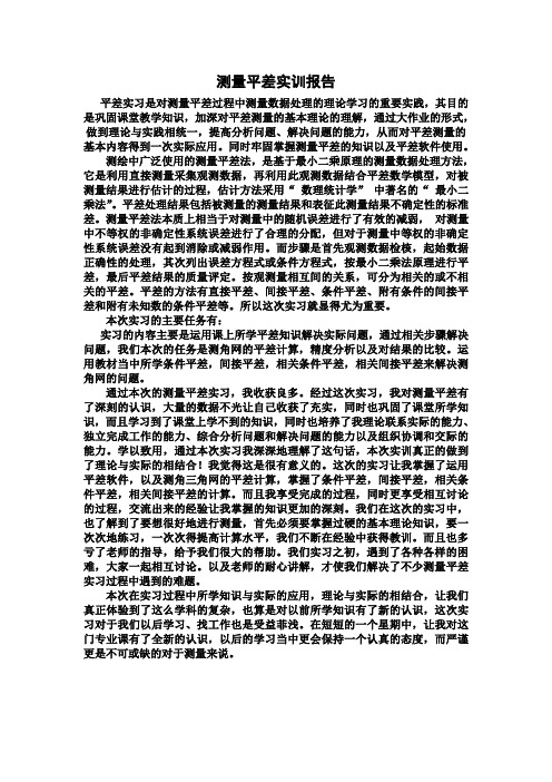 平差报告