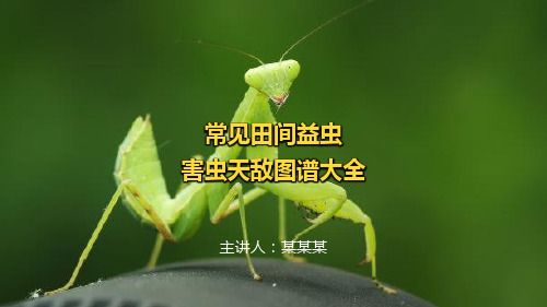 田间益虫图解(横版)
