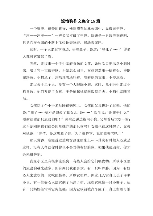 流浪狗作文集合15篇范文