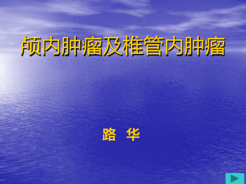颅内肿瘤PPT课件