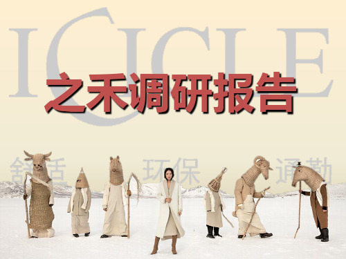 之禾调研报告PPT课件