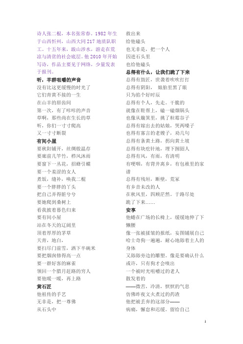 现代诗歌——张二棍
