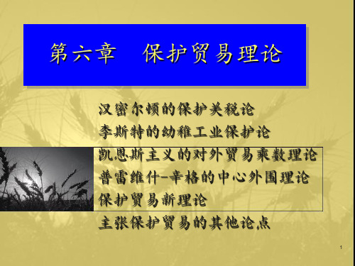 保护贸易理论.PPT