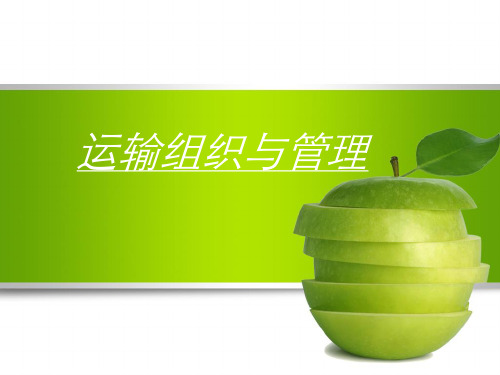 运输组织与管理9