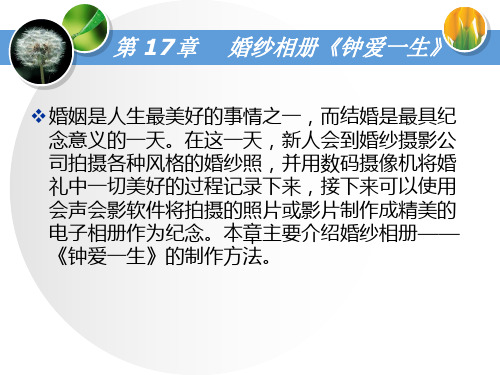 第17章  婚纱相册——《钟爱一生》
