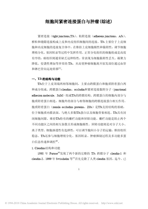 紧密连接蛋白Claudin_6_Occludin和PKC_在脑膜瘤组织中的表达及(1)
