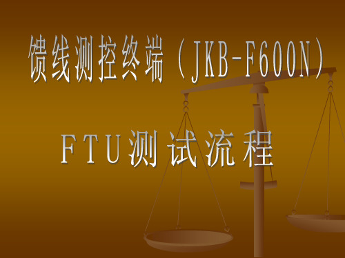 FTU测试流程