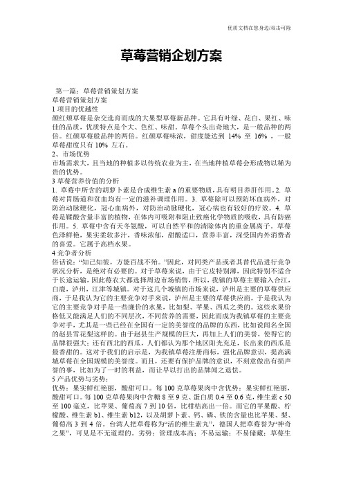 草莓营销企划方案