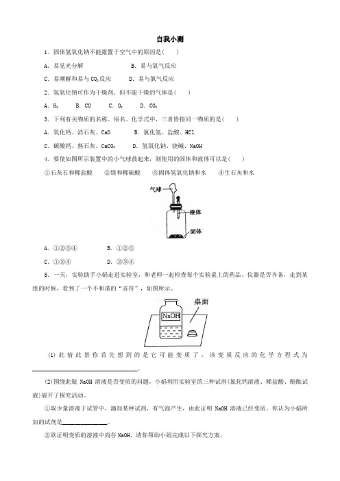 鲁教版化学九年级：碱及其性质 自测练习