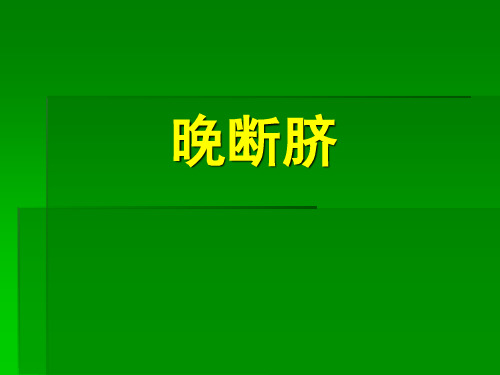 正常分娩国际实践标准