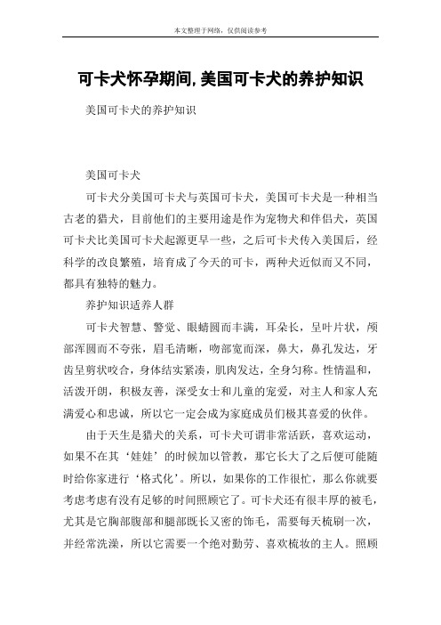 可卡犬怀孕期间,美国可卡犬的养护知识