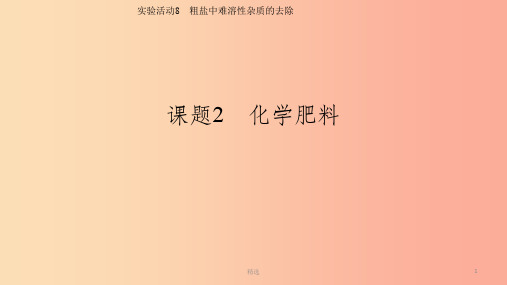 九年级化学下册 第十一单元 盐 化肥 实验活动8 粗盐中难溶性杂质的去除课件  新人教版