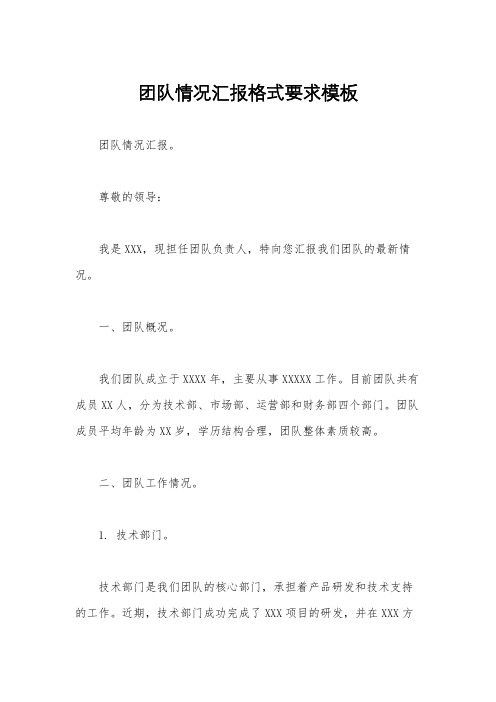 团队情况汇报格式要求模板