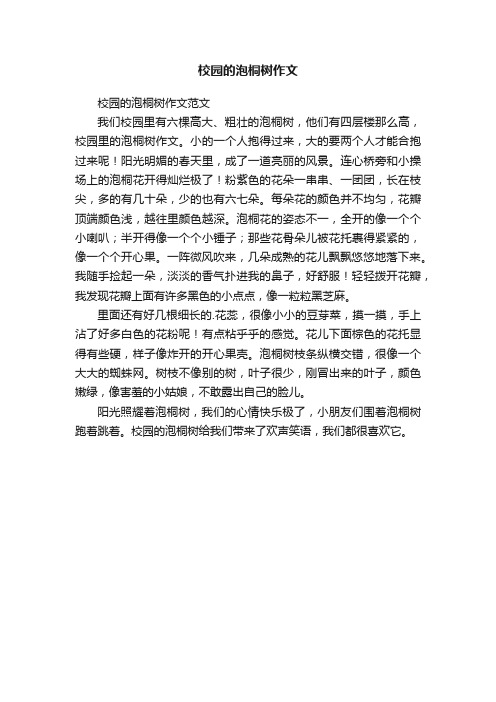 校园的泡桐树作文