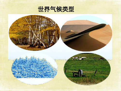 高考高三地理复习：世界气候类型课件