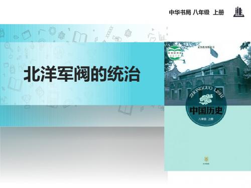 《北洋军阀的统治》近代化的起步 PPT教学课件3
