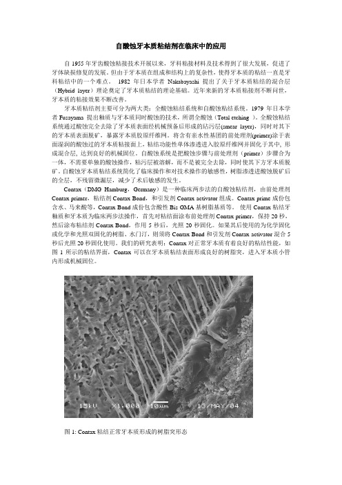 自酸蚀牙本质粘结剂Contax在临床中的应用