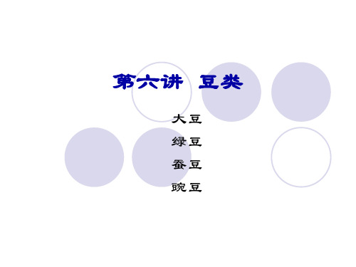 豆类大集合